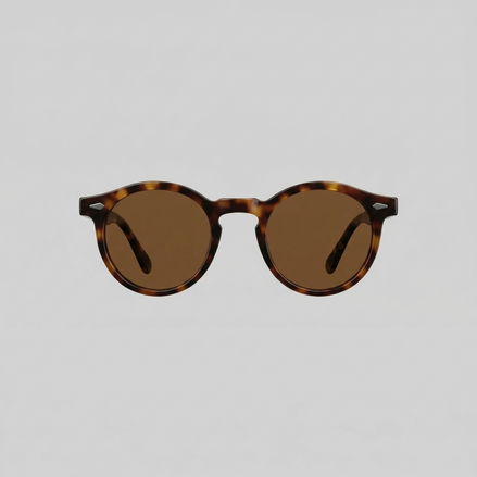 Men's Polarized Sunglasses